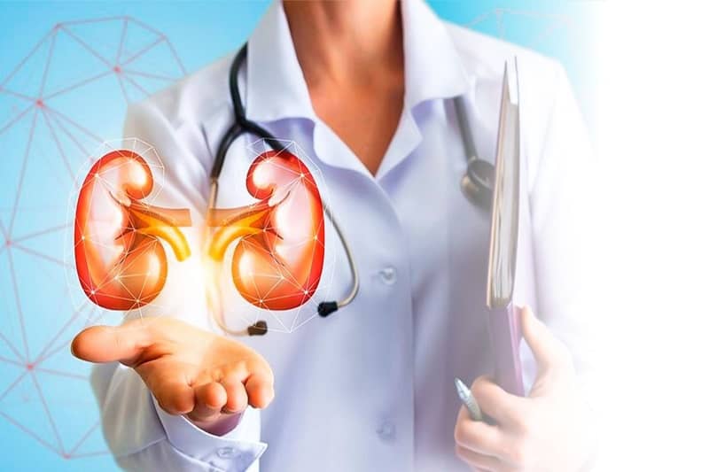 kidney transplant cost